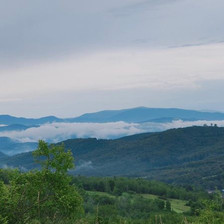 Соколів Камінь Novoselitsa  المظهر الخارجي الصورة