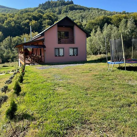 Соколів Камінь Novoselitsa  المظهر الخارجي الصورة
