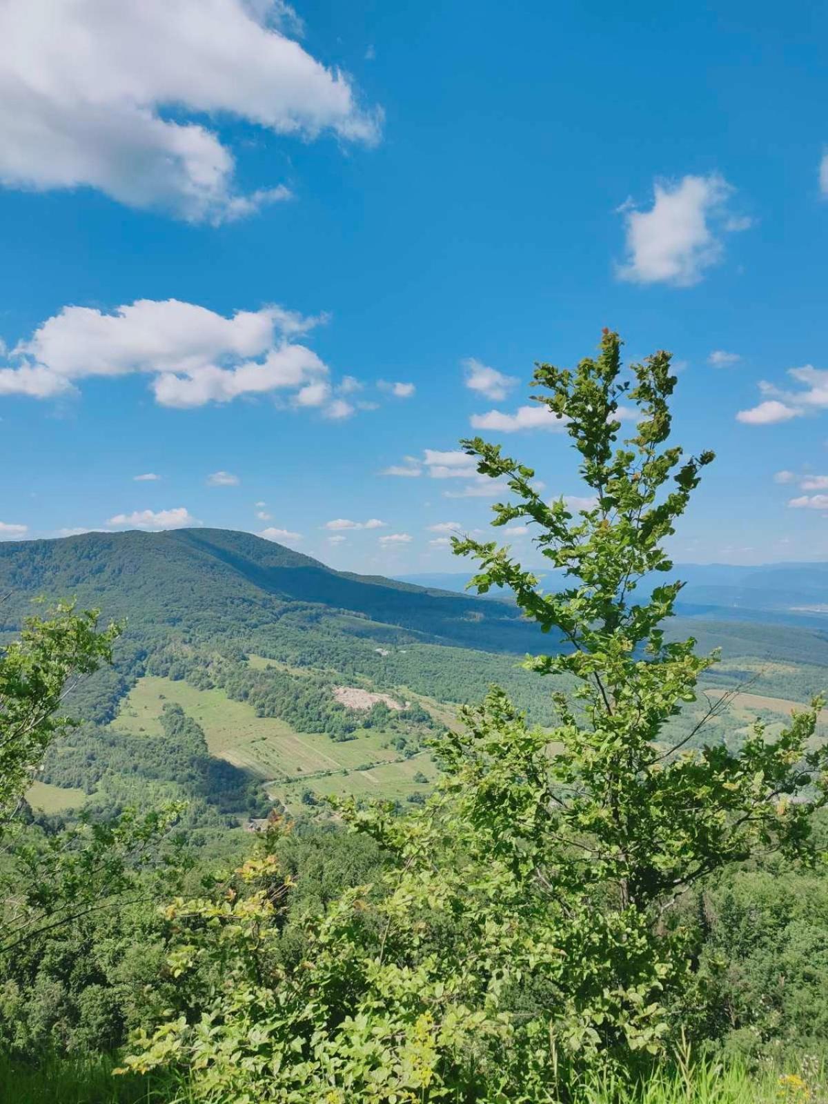 Соколів Камінь Novoselitsa  المظهر الخارجي الصورة