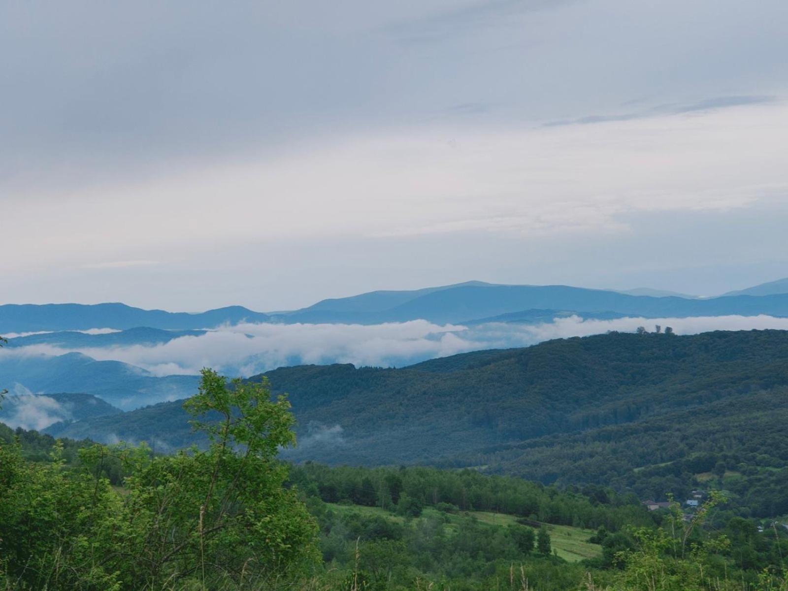 Соколів Камінь Novoselitsa  المظهر الخارجي الصورة