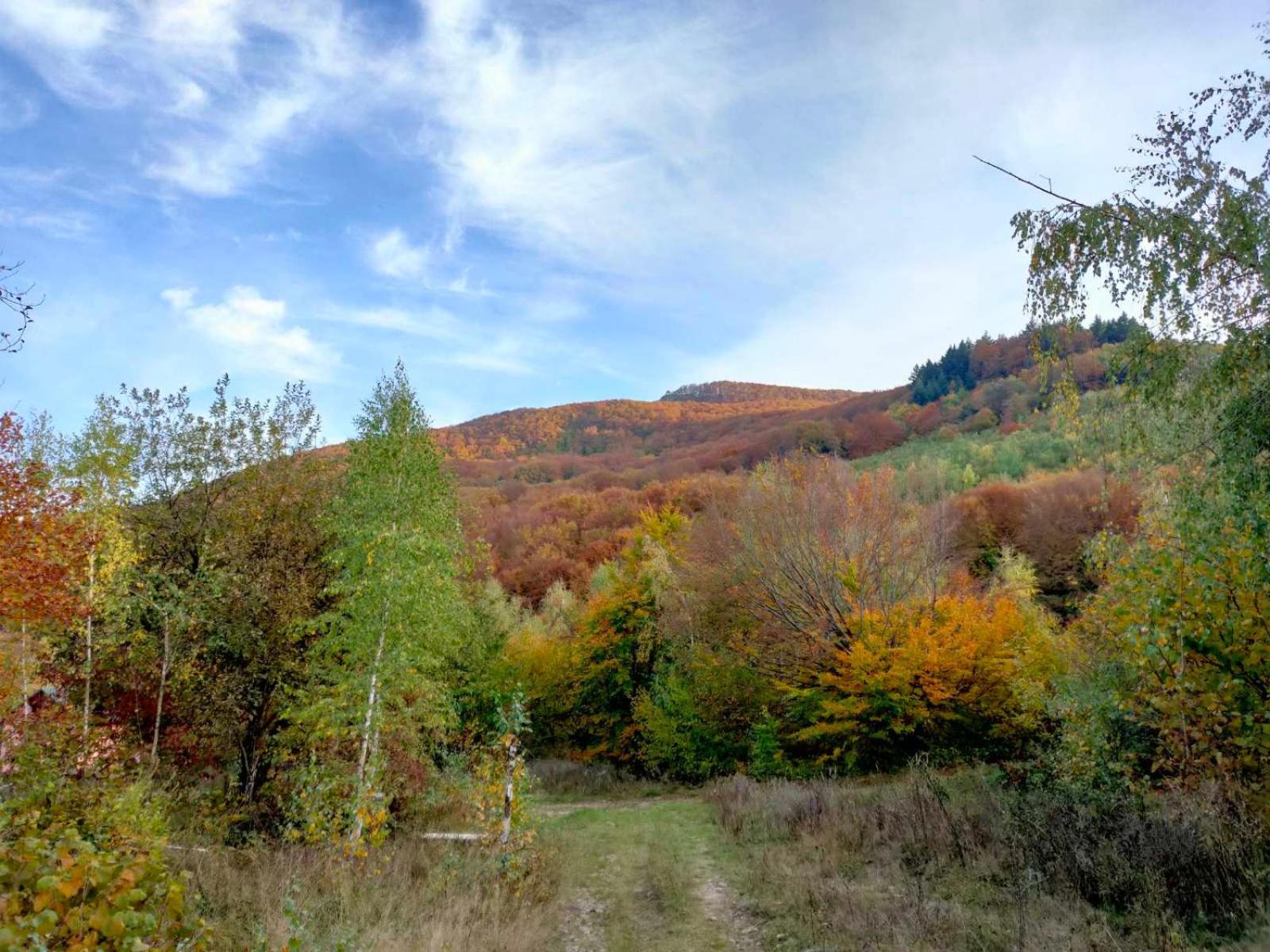 Соколів Камінь Novoselitsa  المظهر الخارجي الصورة