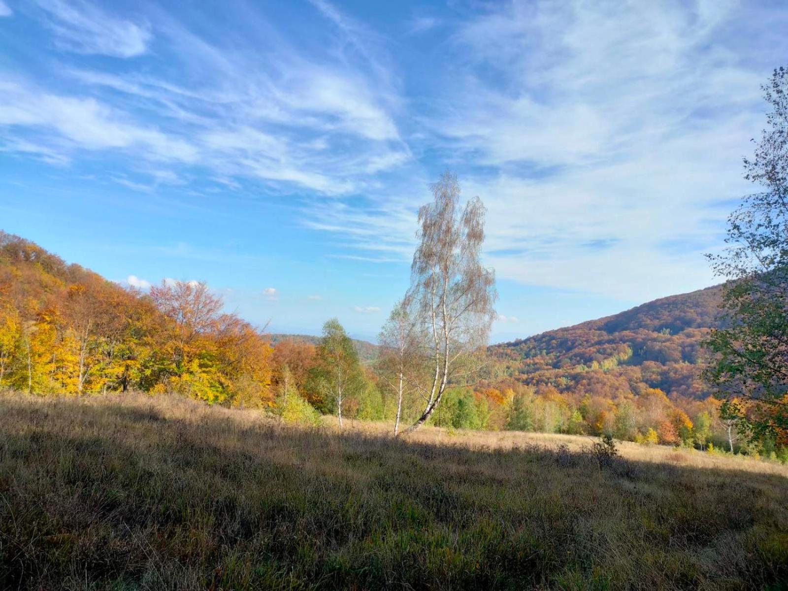 Соколів Камінь Novoselitsa  المظهر الخارجي الصورة