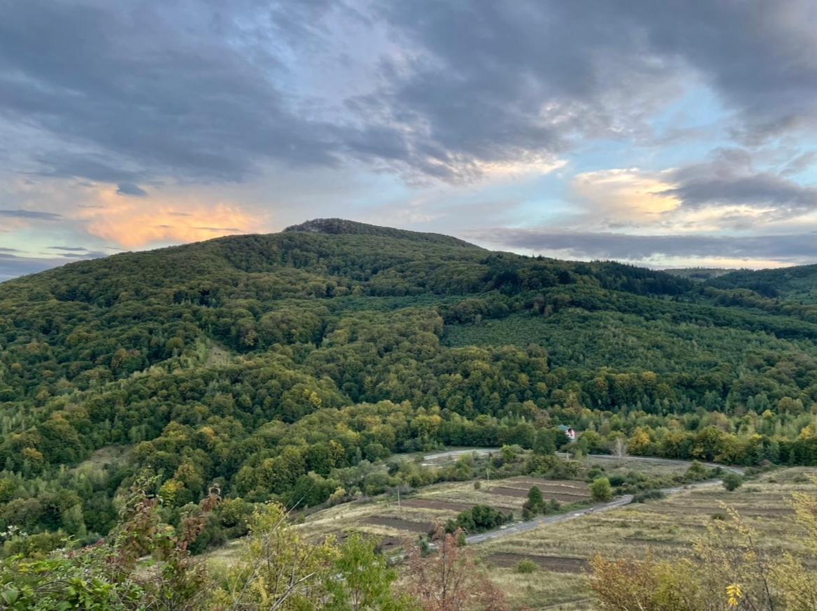 Соколів Камінь Novoselitsa  المظهر الخارجي الصورة