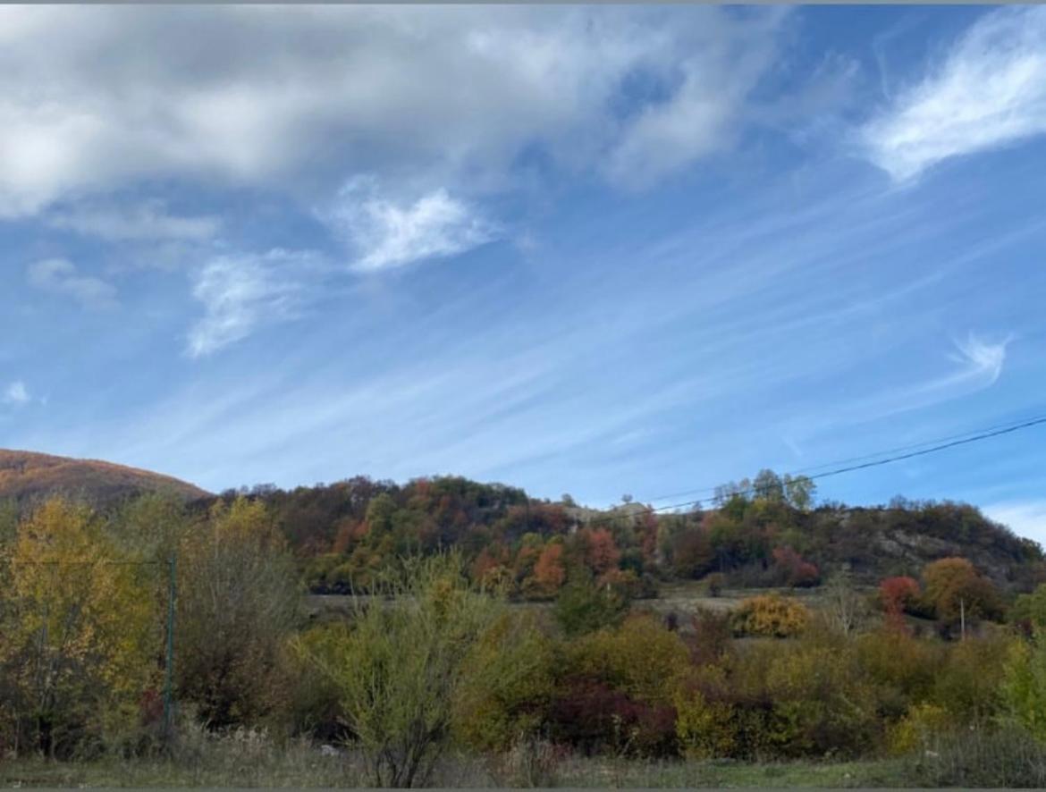 Соколів Камінь Novoselitsa  المظهر الخارجي الصورة